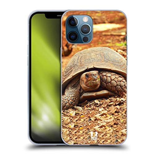 Crawling Tortoise