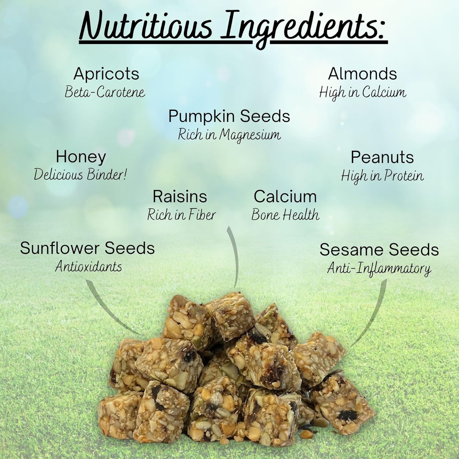Exotic Nutrition Beneficial Blocks (20 oz) - Healthy Squirrel Food with Nuts & Seeds - Premium Supplemental Diet for Wild & Pet Squirrels - Perfect for Backyard Feeding & Wildlife Nutrition