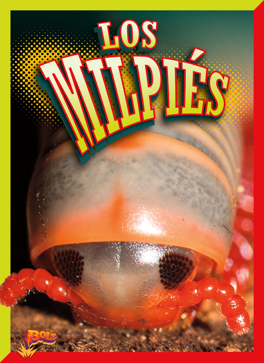 Live Millipedes for Sale - Exotic Crawling Creatures for Terrariums & Educational Use | Perfect for Science Classrooms & Pet Enthusiasts