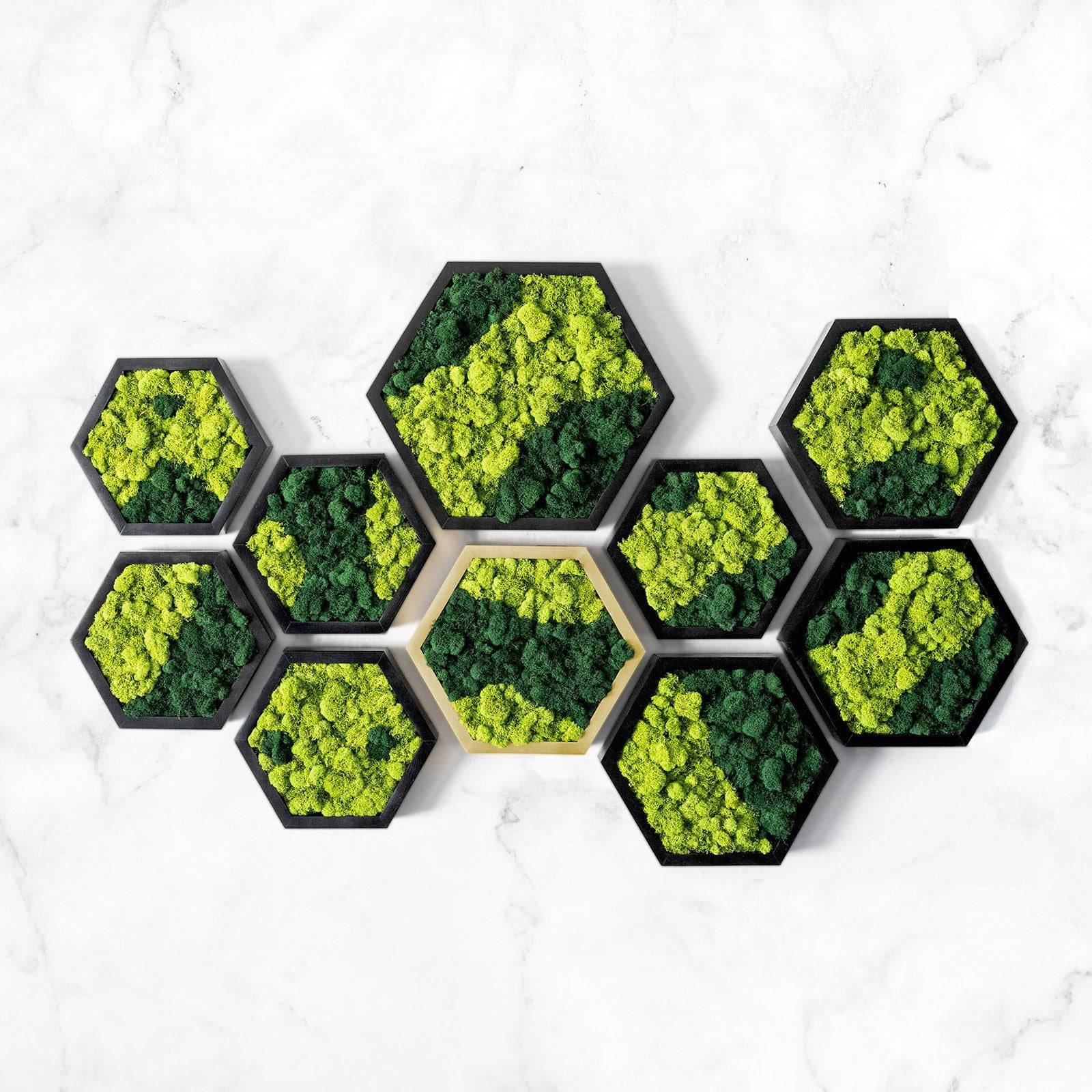 Hexagon Moss Wall Art Frame - Natural Green Preserved Moss Decor for Home & Office - Perfect for Living Room, Bedroom, or Office Wall Decor