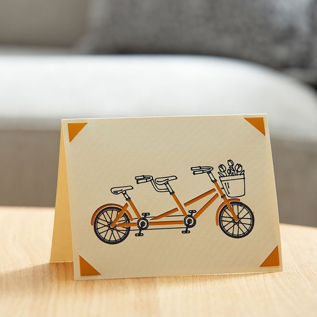 Cricut Joy Foil Transfer Insert Cards - DIY Greeting Cards, Invitations & Scrapbooking for Crafters