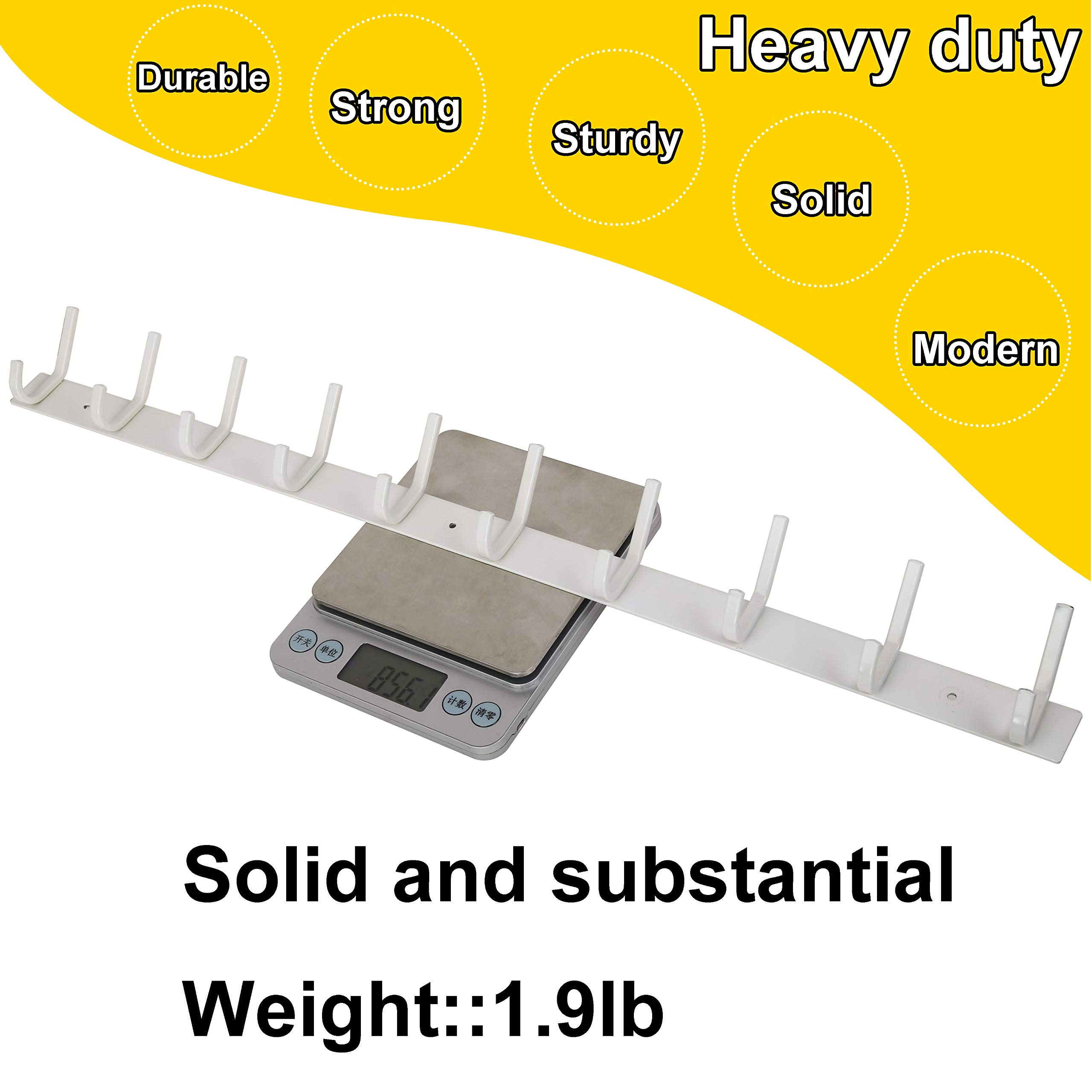 WEBI 10-Hook Wall Mounted Coat Rack - 30