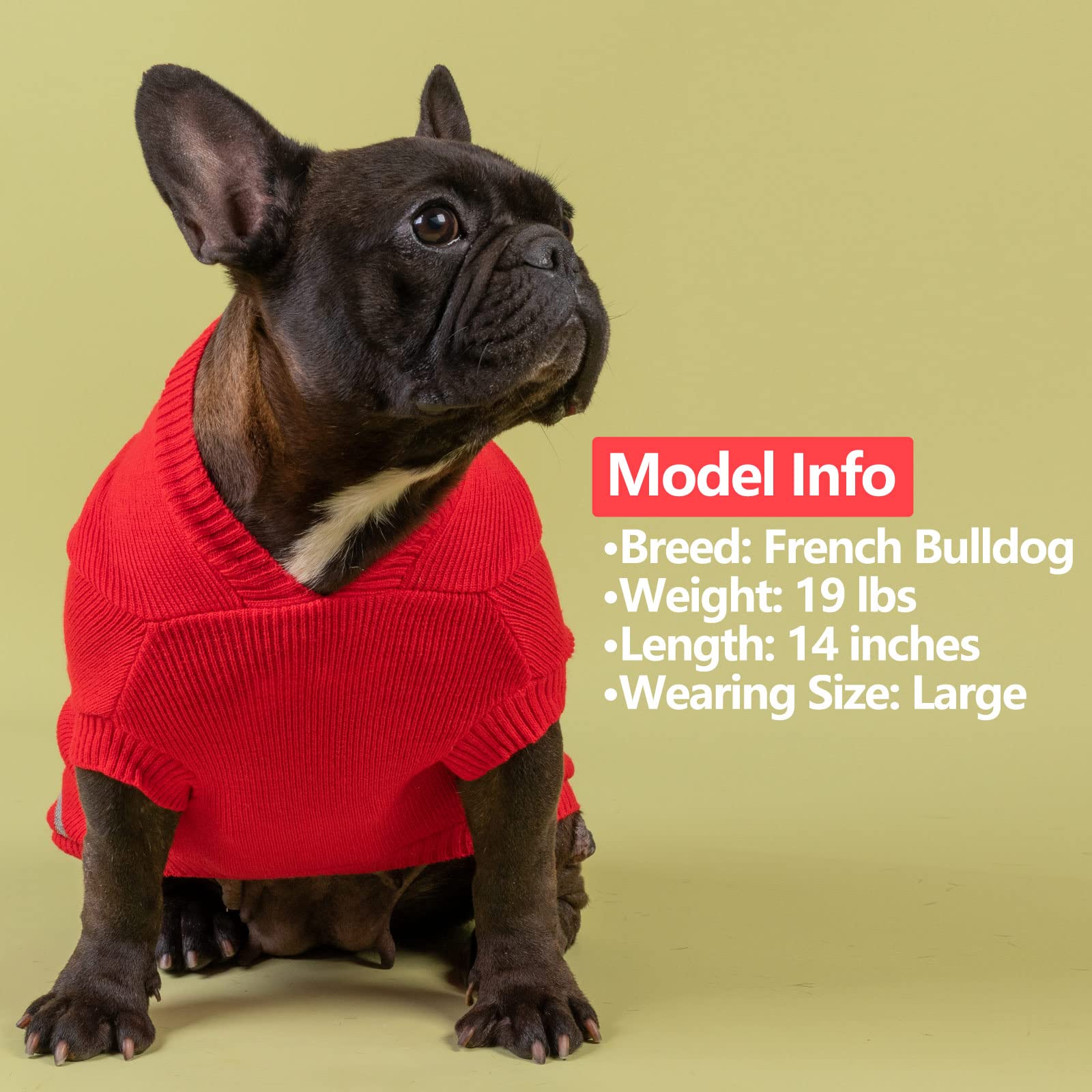 KYEESE Reflective Christmas Dog Sweater with Leash Hole - Warm Red Knit Hoodie Pullover for Small Dogs - Perfect for Winter Walks & Holiday Photos (Red, Size S)