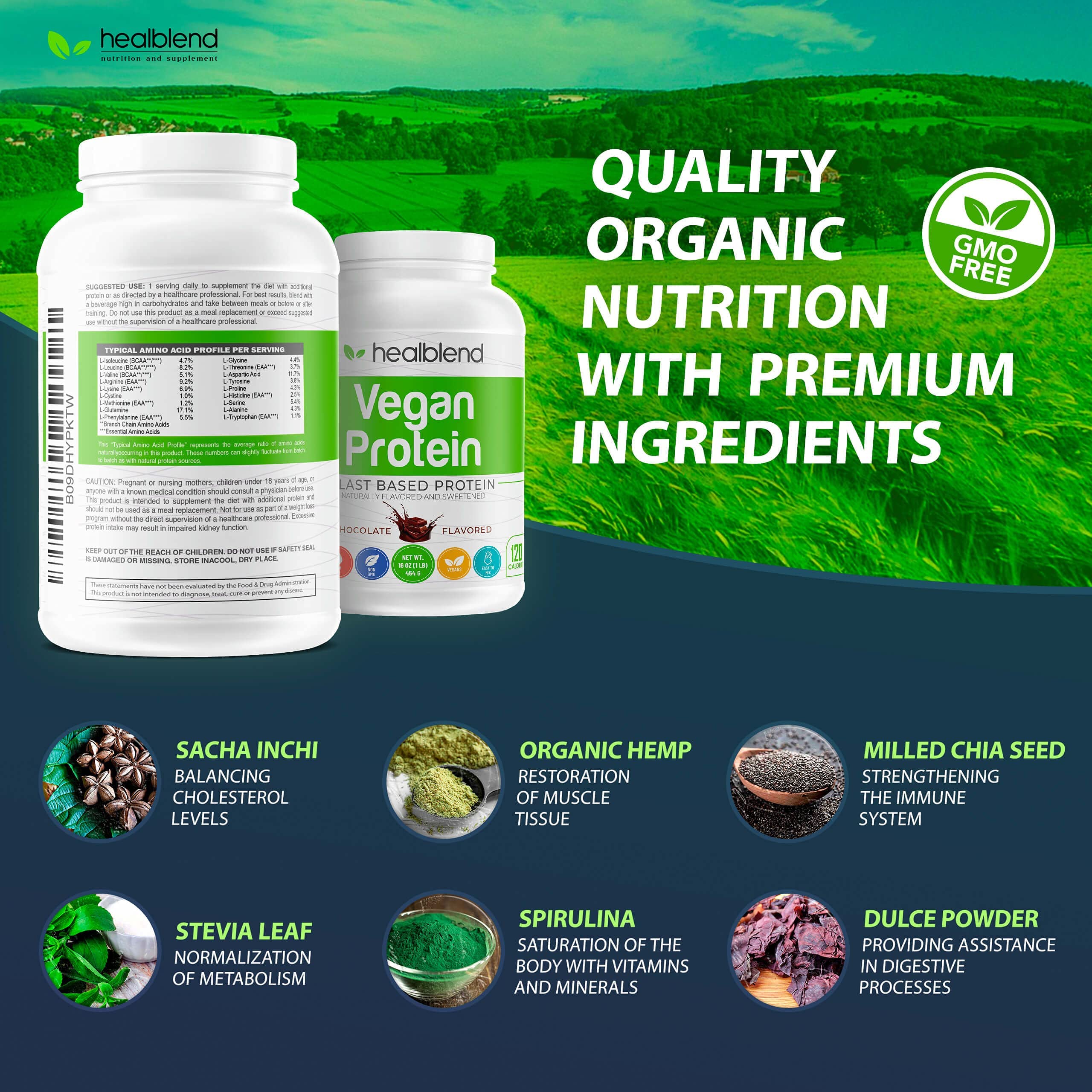 Vegan Plant-Based Protein Powder - Gluten Free, Non-GMO, Dairy Free Pea Protein Supplement for Men & Women | Post-Workout Recovery & Meal Replacement