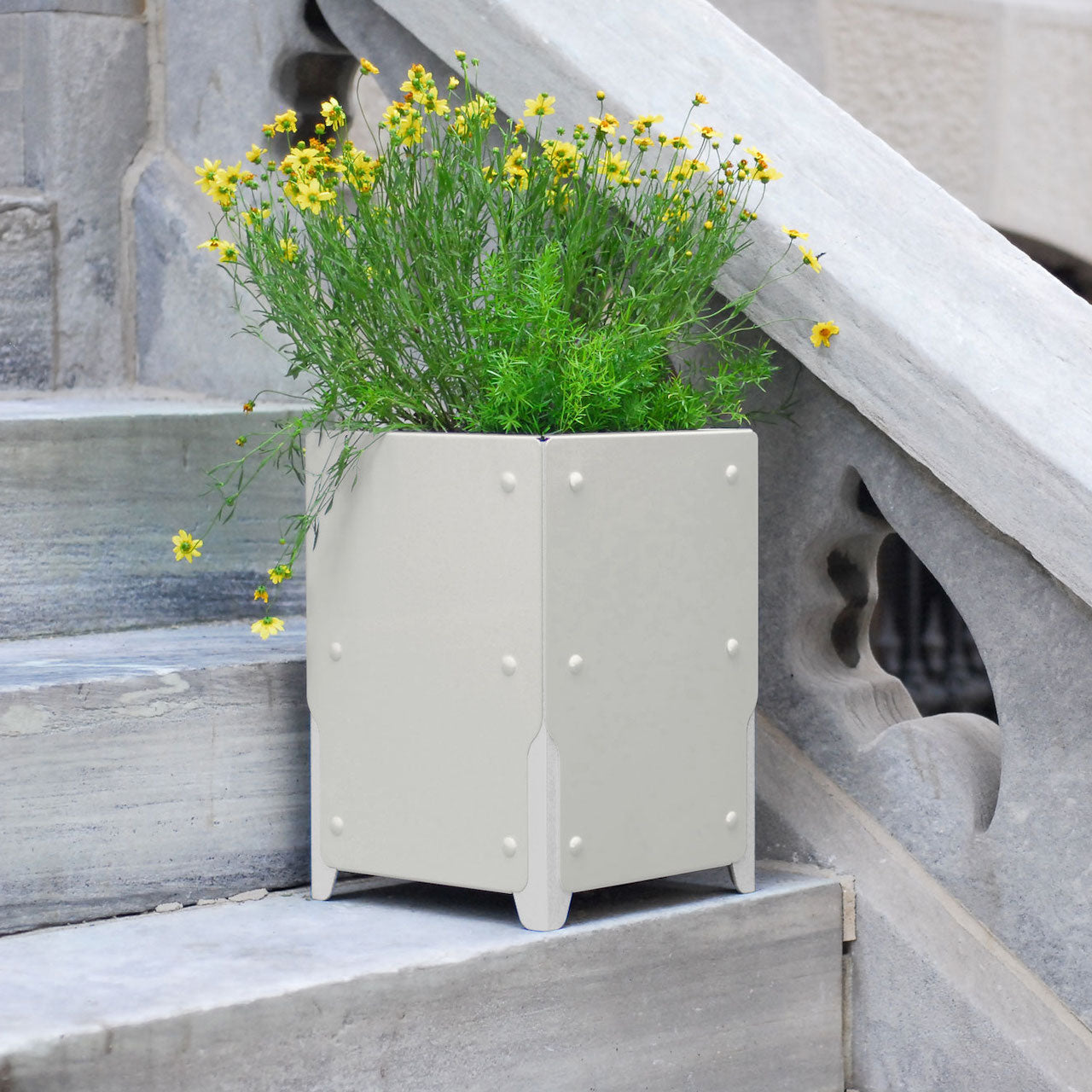 BOLTON Short Planter Set of 4 - Small Indoor Flower Pots for Succulents, Herbs & Plants - Perfect for Windowsill, Kitchen, Office & Home Decor