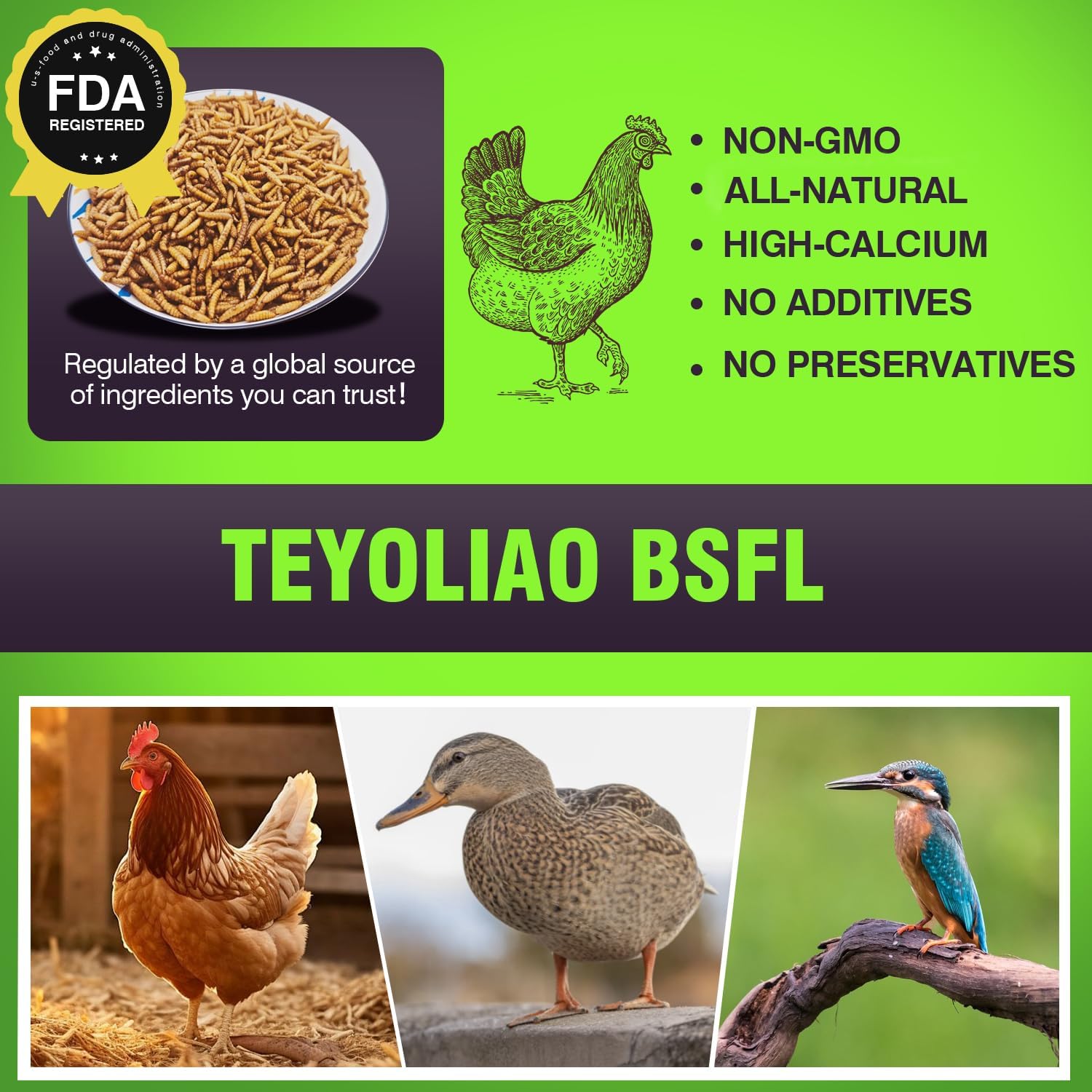 Premium Dried Black Soldier Fly Larvae (5LB) - 100% Natural Non-GMO High Protein Chicken Feed | Organic BSFL Chicken Food with More Calcium Than Mealworms | Perfect for Poultry, Birds & Ducks | Ideal for Backyard Chickens, Wild Bird Treats & Duck Feeding