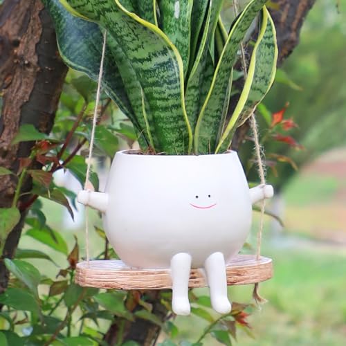 Plus Glossy Hanging Planter
