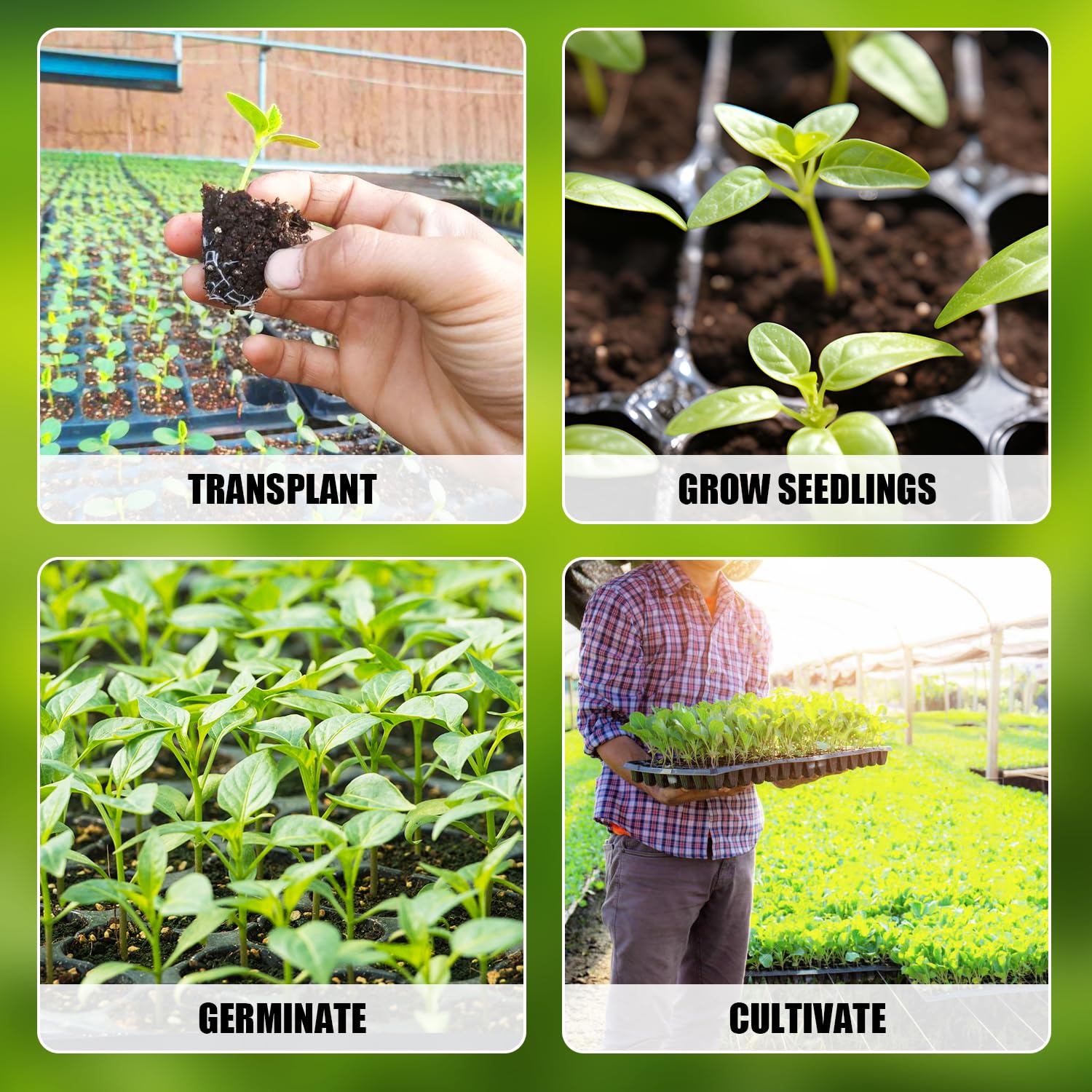 10-Pack 128-Cell Seed Starter Trays - Thick & Durable Nursery Plug Trays for Seedlings - 21.26