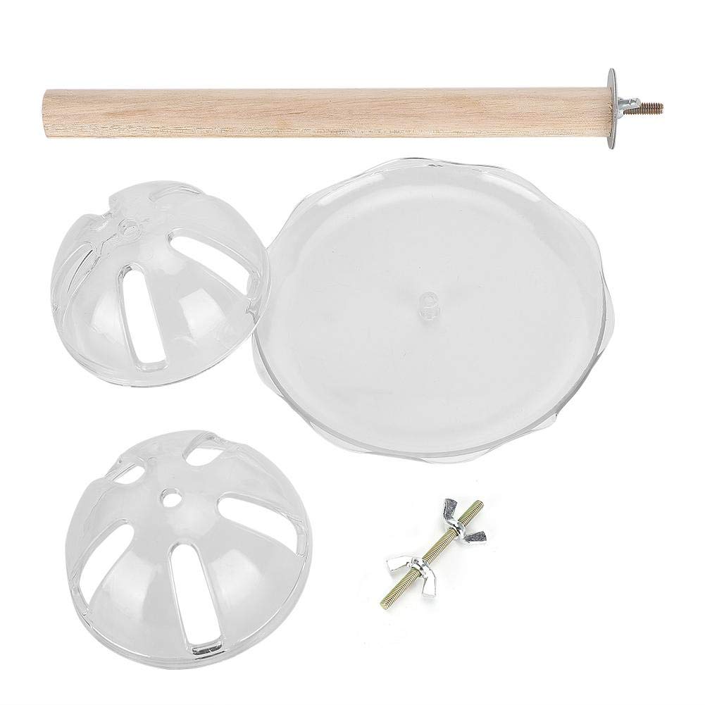 Bird Foraging Ball Toy - Creative Buffet Feeder with Swing & Bite Stand for Parrots, Cockatiels - Perfect for Training & Enrichment Activities