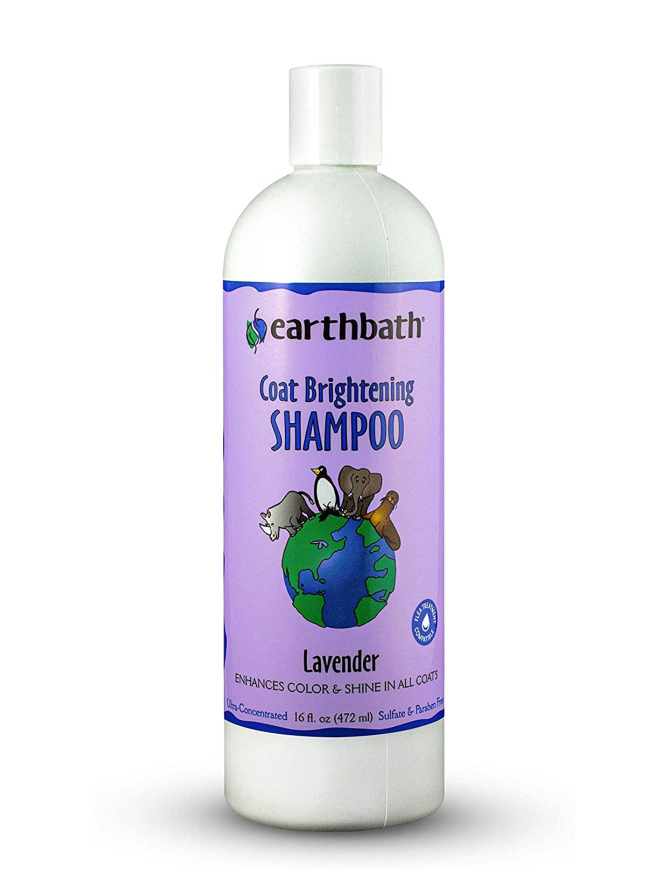Earthbath Light Color Coat Brightener Shampoo for Dogs & Cats - Enhances & Brightens Fur (16oz/1 Gallon) - Gentle Whitening Formula for Show Grooming & Daily Baths