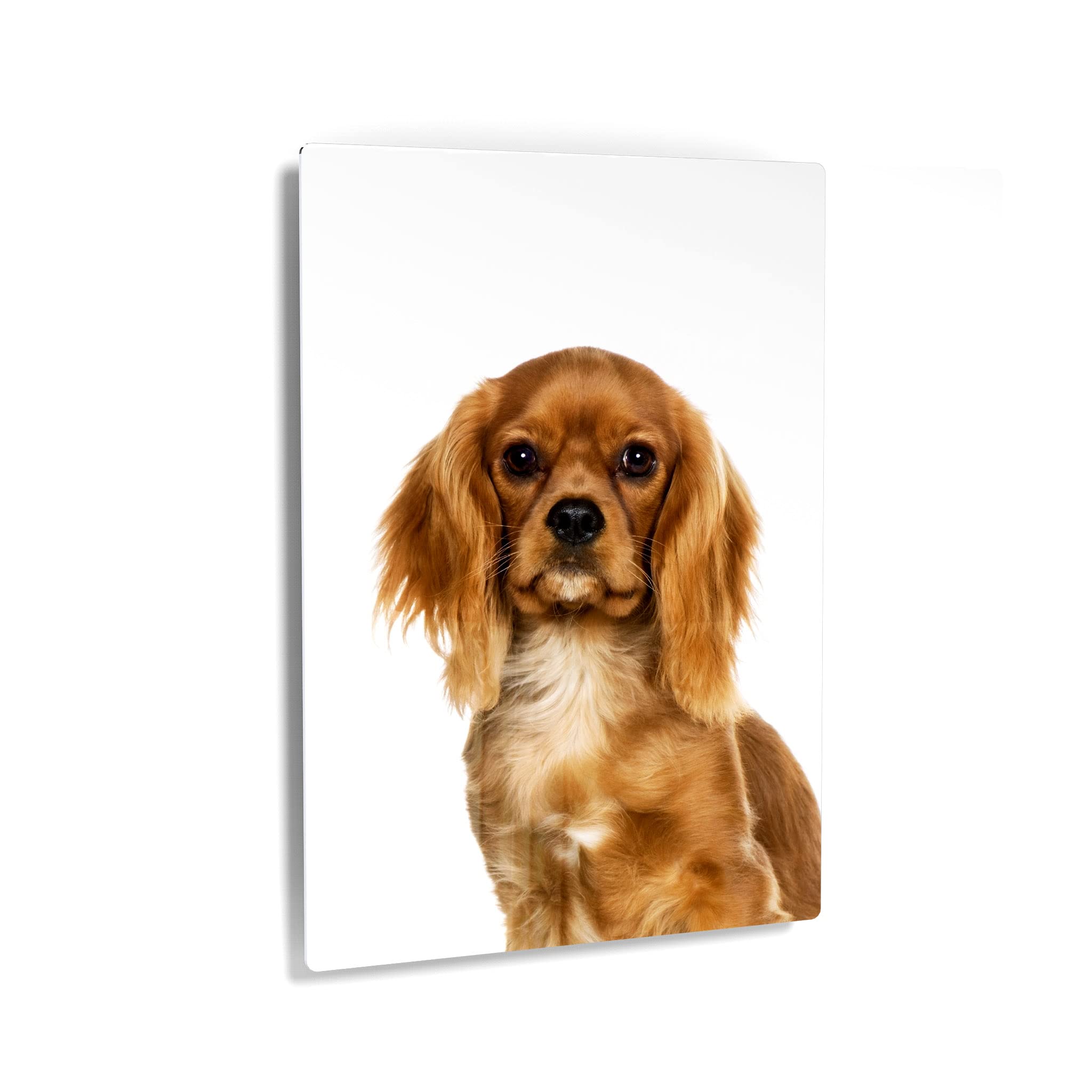 Cavalier King Charles Spaniel Dog Portrait Metal Wall Art - Pet Lover Gift for Mom, Dad, Dog Owners - 40x30 Inch Home Decor for Living Room, Bedroom, Nursery - Made in USA | Perfect for Housewarming, Birthday & Holiday Presents