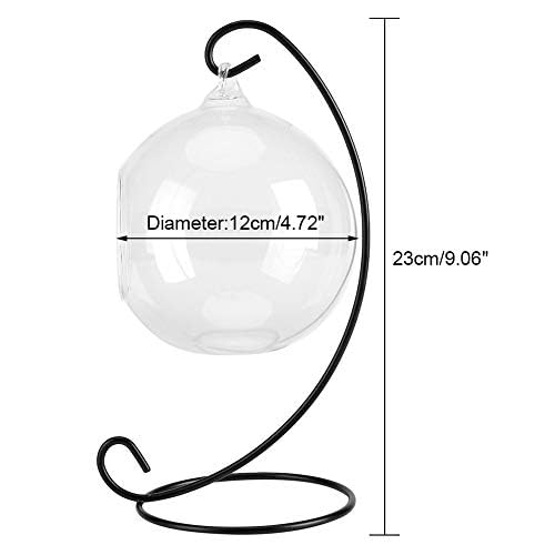 Large Hanging Glass Air Plant Terrarium - Succulent Planter Globe with Micro Landscape Display for Home, Office Decor | Perfect for Tabletop, Shelf, or Wall Decoration