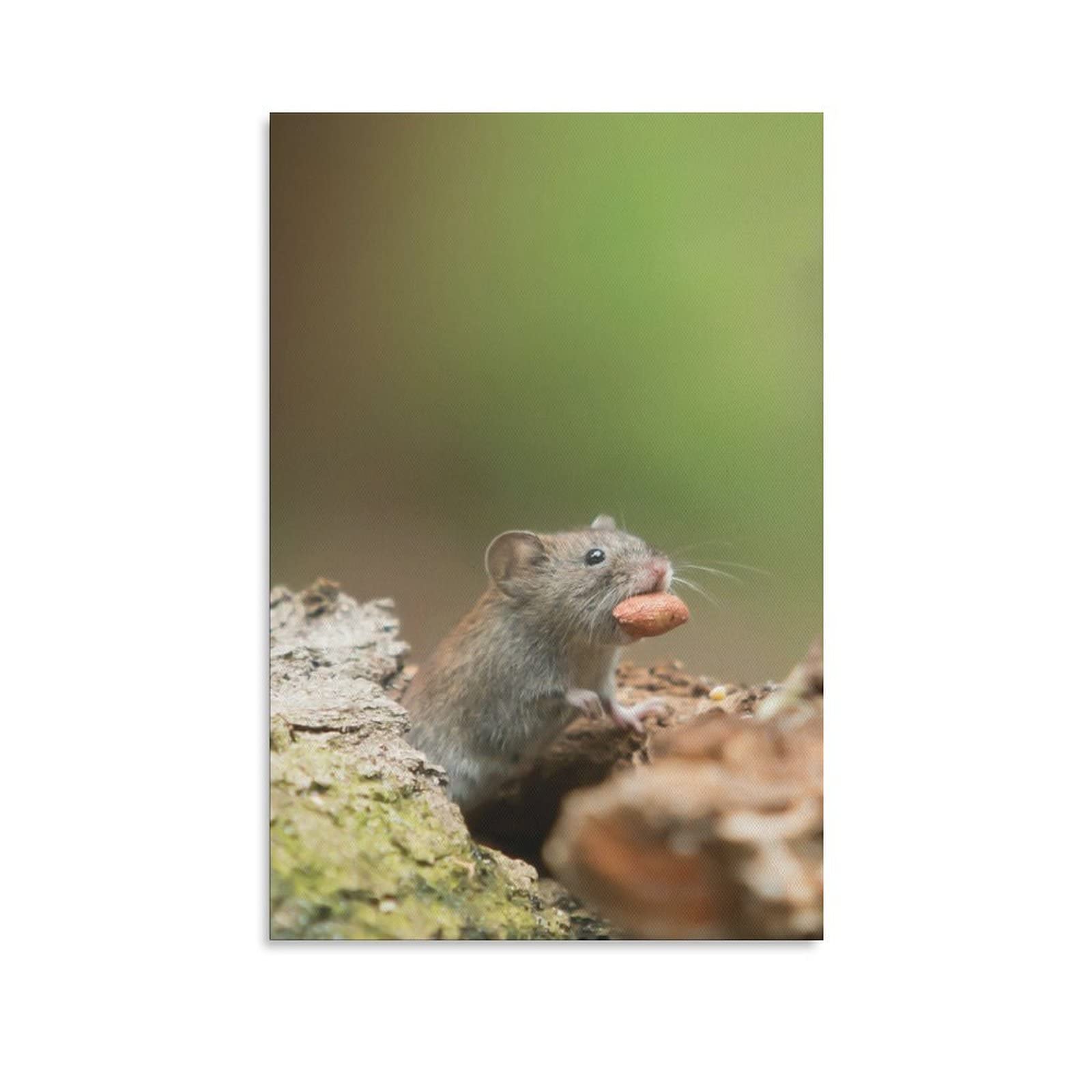 Gray Mouse Eating Peanuts Canvas Wall Art - 16x24 Inches (40x60cm) Modern Home Decor for Living Room, Bedroom & Office - Perfect Gift for Animal Lovers & Nature Enthusiasts - Ideal for Home Decor, Housewarming Gifts & Interior Design Projects