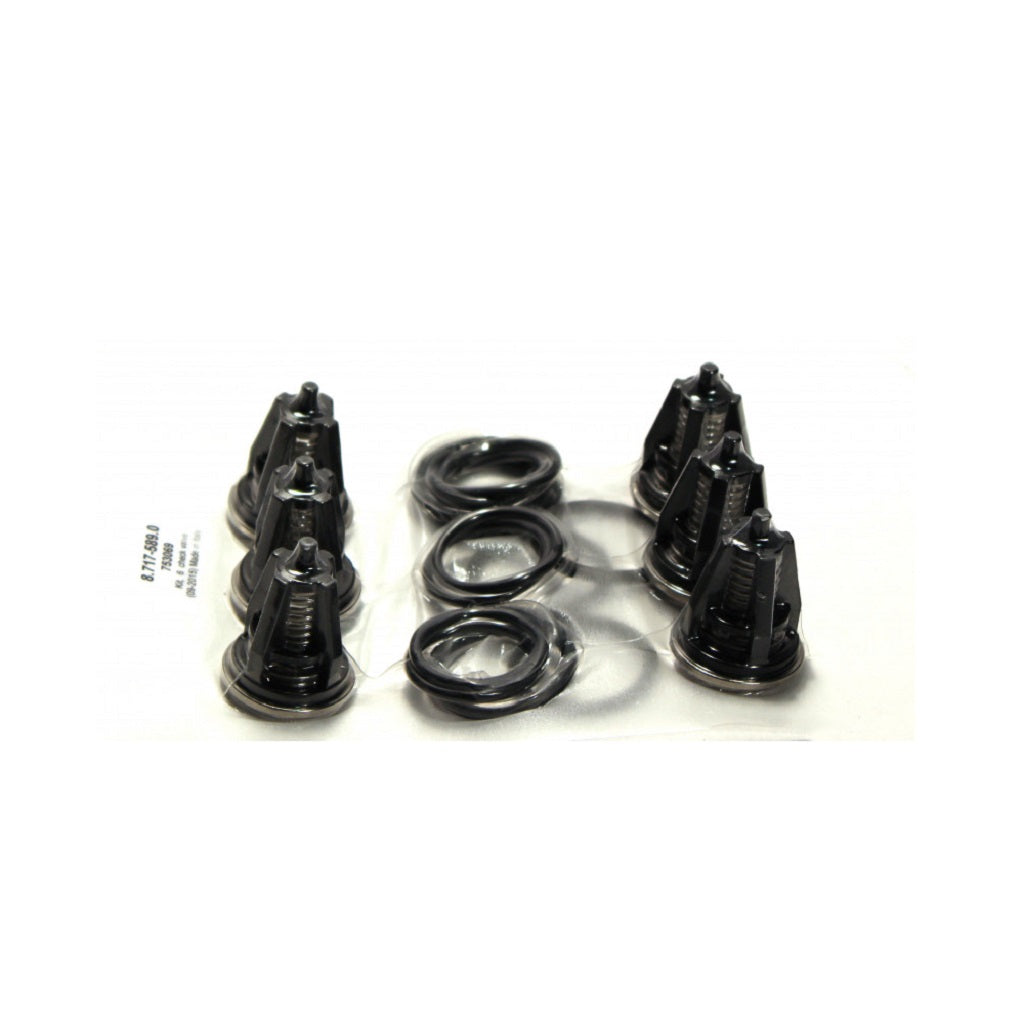 Legacy Check Valve Kits for Hotsy, Hawk, Landa, Karcher, Shark Pressure Washers - Perfect for Commercial & Industrial Cleaning Equipment Maintenance
