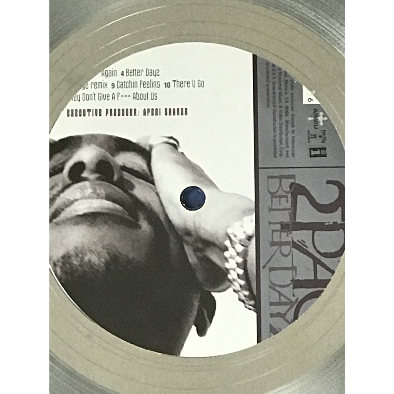 2Pac Better Dayz RIAA Certified 2x Multi Platinum Album Award - Rare Collectible for Music Fans & Hip-Hop Memorabilia Enthusiasts - Perfect for Display in Home, Office, or Music Studio