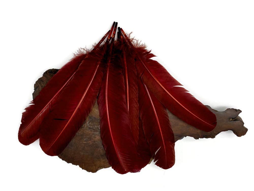 1 Lb. Wine Brown Turkey Tom Rounds Secondary Wing Quill Feathers Bulk - Halloween Craft Supplies, DIY Costume Accessories, Dreamcatcher Making | Moonlight Feather