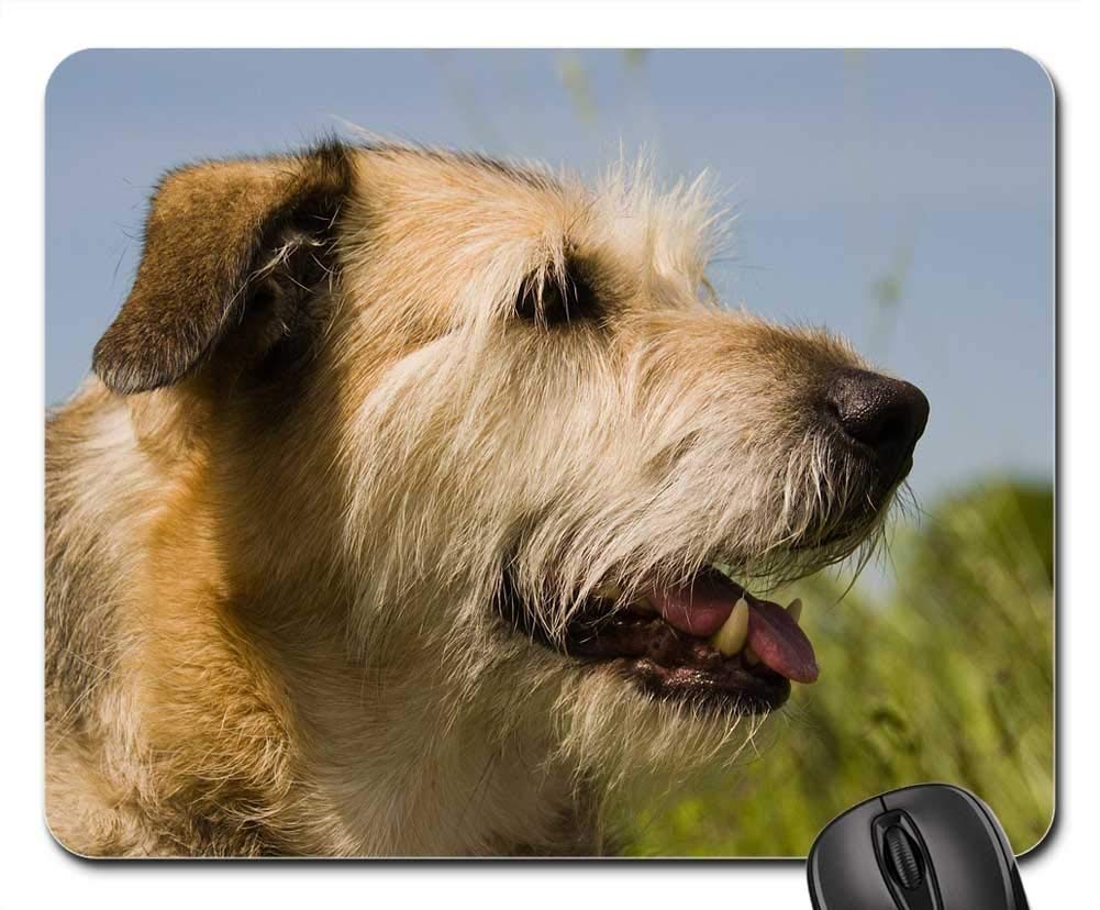 Premium Gaming Mouse Pad with Non-Slip Base - Large Extended Mouse Mat for PC & Laptop - Cute Dog Snout Design for Pet Lovers - Perfect for Gaming, Office Work & Home Use