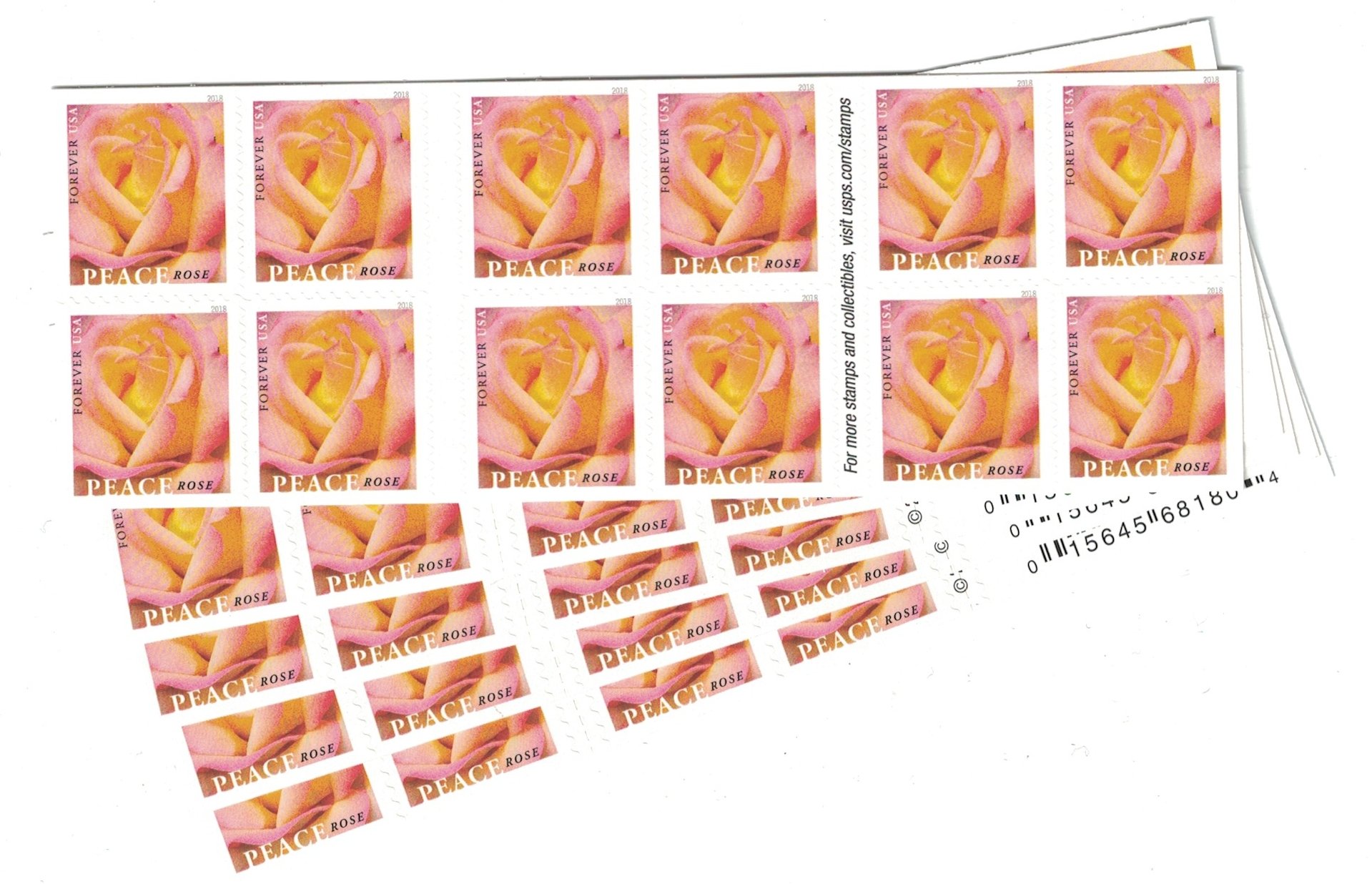 Peace Rose USPS Forever Stamps - 5 Booklets (100 Stamps) for Mailing Letters, Greeting Cards & Postcards | First-Class Postage | Collectible Stamps