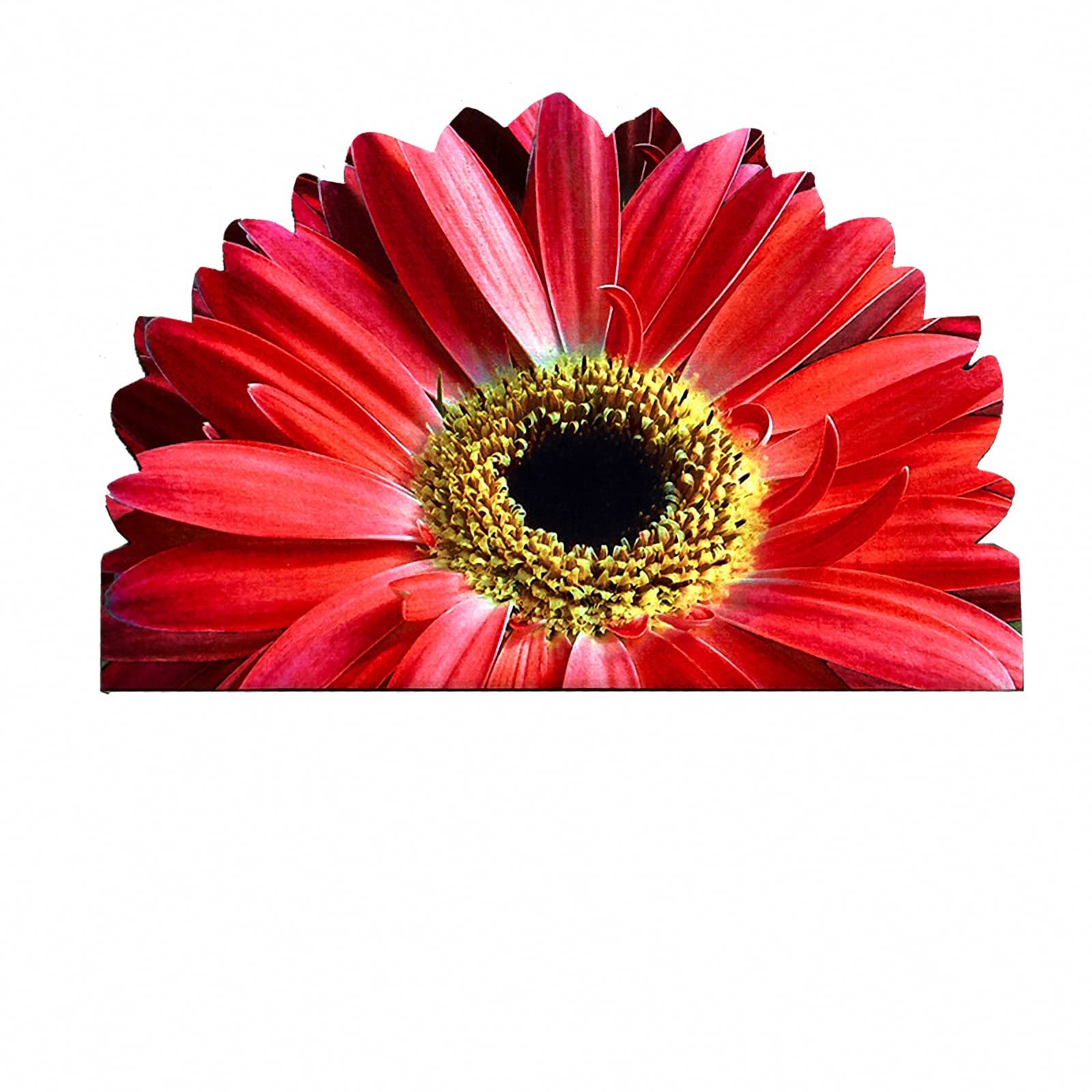 ATOLY Red Floral Entrance Floor Mat - Indoor/Outdoor Half Circle Door Mat (24
