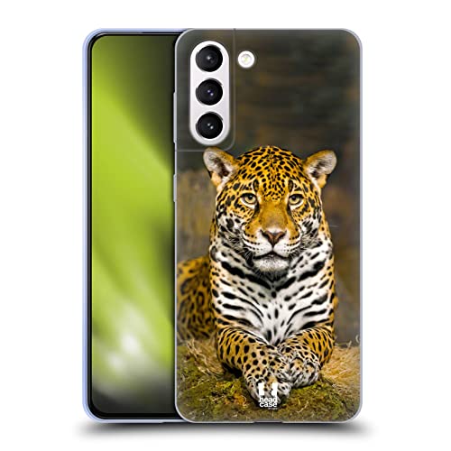 Adult Female Jaguar