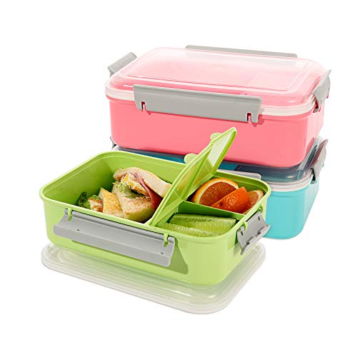 Sandwich Container