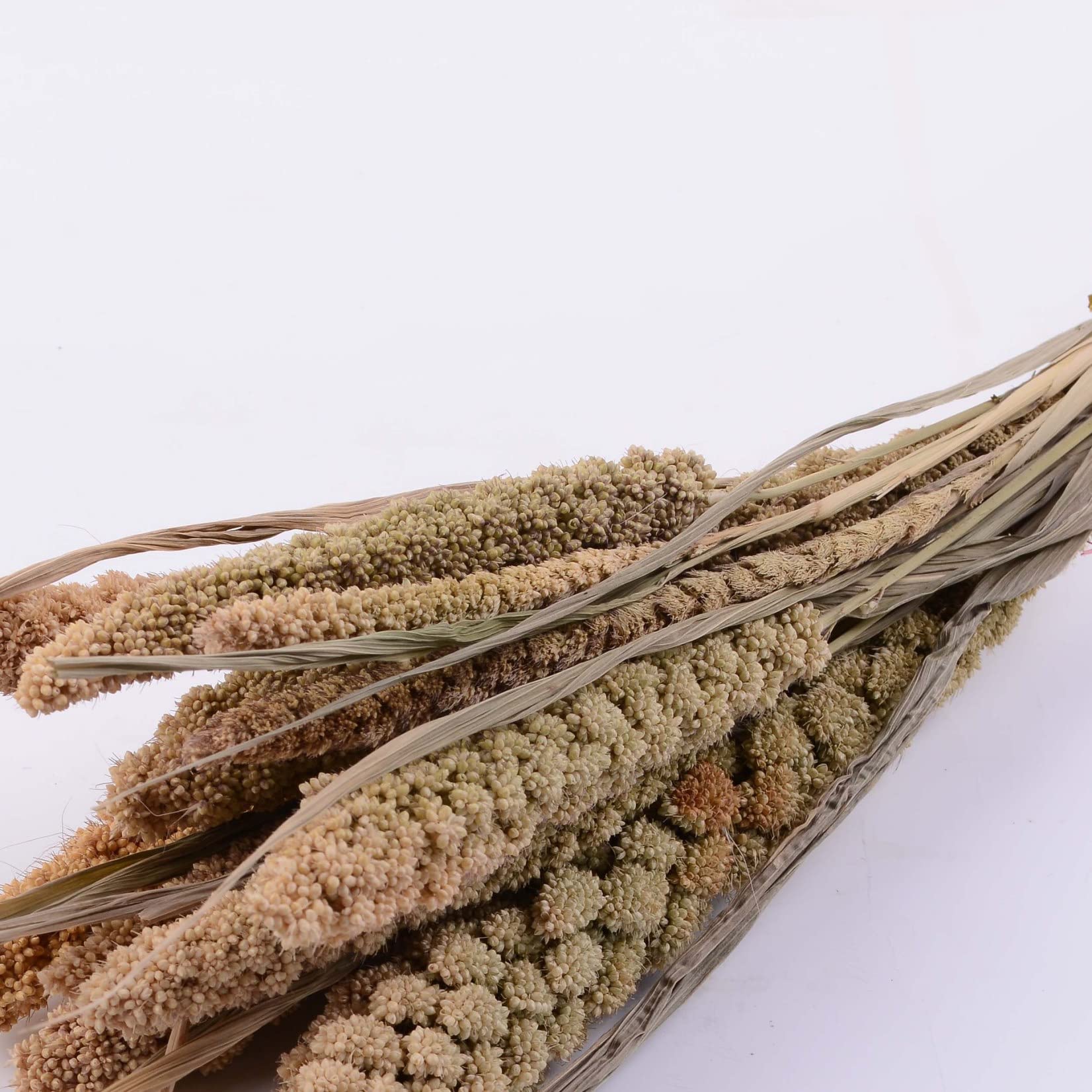 10 Pcs Natural Pampas Grass Bouquet - Dried Wheat Stems for Wedding Decor, Home Vase Filler, Table Centerpiece & Photography Props - Perfect for Boho Wedding, Farmhouse Decor & Fall Home Decorating