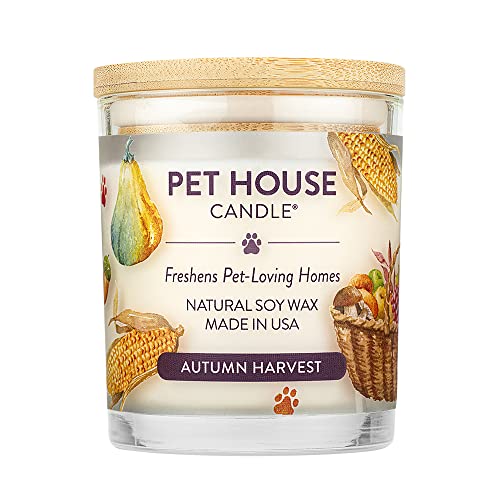 Autumn Harvest