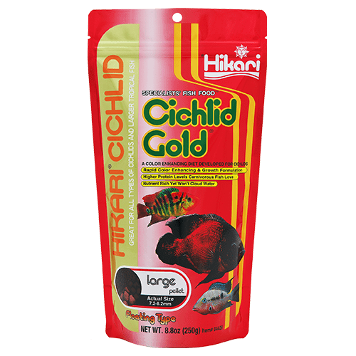 Hikari Cichlid Gold Floating Pellet Fish Food - Premium Floating Pellets for Cichlid Fish, Tropical Fish & Goldfish - Ideal for Aquarium, Pond & Fish Tank Feeding