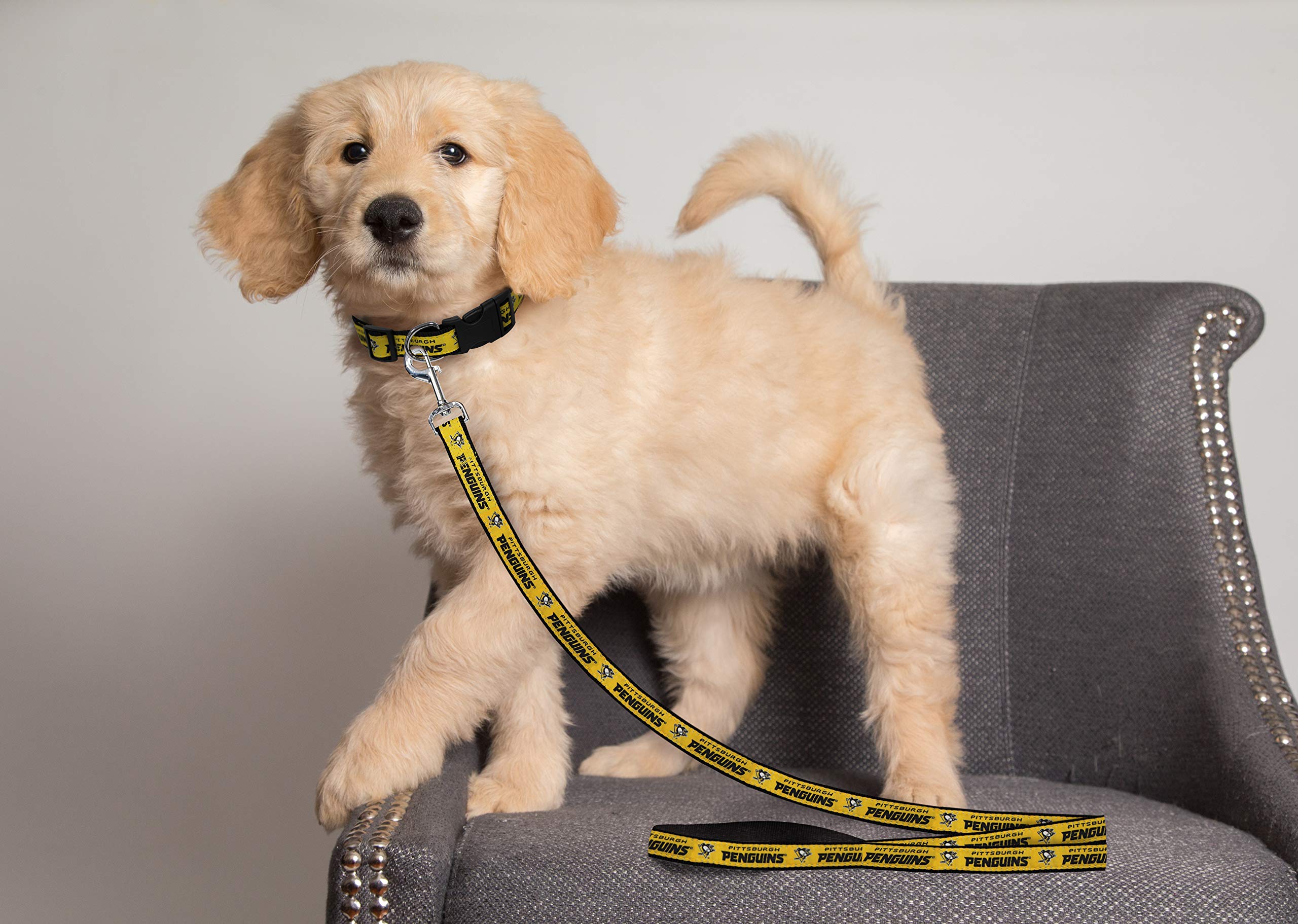 Pittsburgh Penguins NHL Dog Leash & Cat Leash - Medium 4ft Hockey Pet Leash for Dogs & Cats - Durable 0.62in Width Pet Walking Accessory - Perfect for Hockey Fans, Game Day Walks & Team Spirit Outings (PEN-3031-MD)