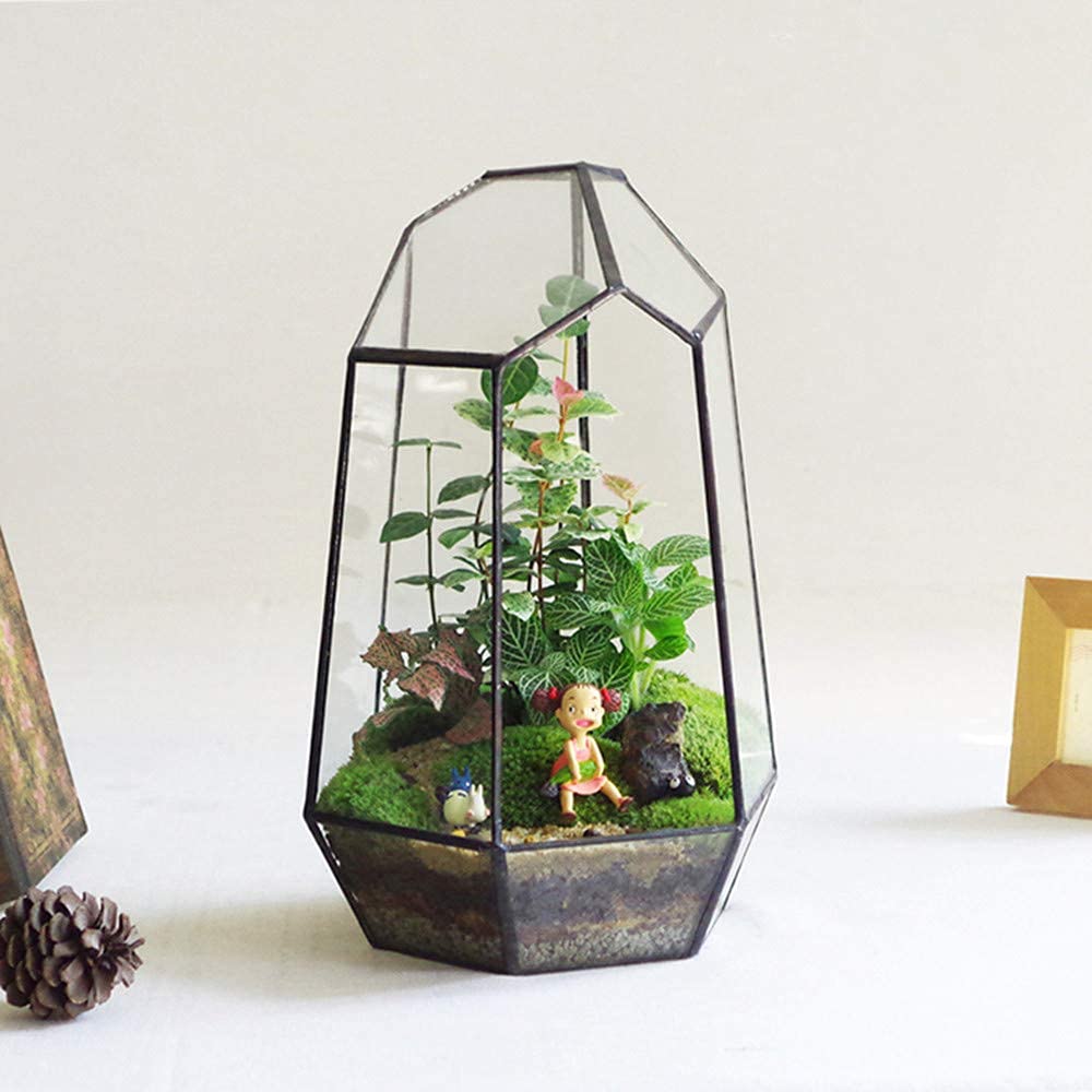 Geometric Glass Terrarium Planter for Cacti & Succulents - Irregular Tabletop Container (6.5x5.7x9.8 Inches) - Modern Home, Office & Garden Decor - Perfect for Indoor Plants, Desk Decor & Gift Ideas