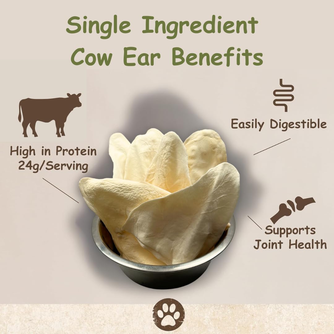 Premium All-Natural Cow Ears Dog Chews - High Protein, Grain-Free, USA Made Healthy Treats for Medium & Large Dogs - Perfect for Training, Dental Health & Long-Lasting Chewing (12-Pack)