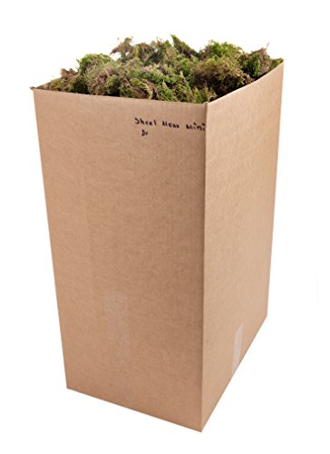 Natural Dried