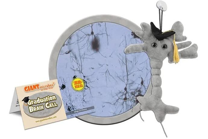 GIANTmicrobes Graduation Brain Cell Plush Toy - Class of 2025 Graduation Gift for Nurses, Medical Students & Science Lovers | Cute Stuffed Animal for Graduation Parties, Office Decor & College Dorm