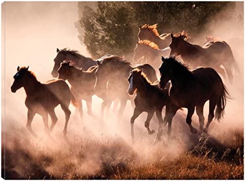 Horses
