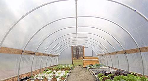 Bootstrap Farmer 6 mil UV Resistant Greenhouse Plastic Film - 4 Year Clear Polyethylene Cover 40' x 50' for Gardening, Plant Protection & Season Extension