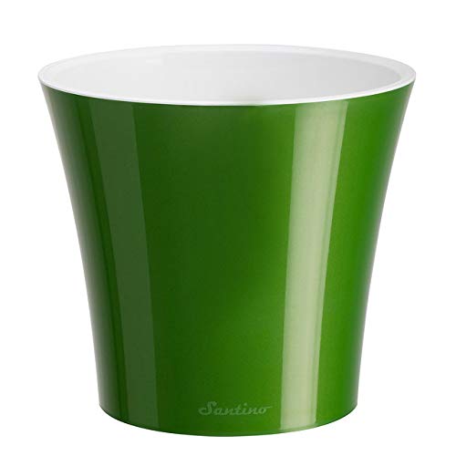 Green-gold/White
