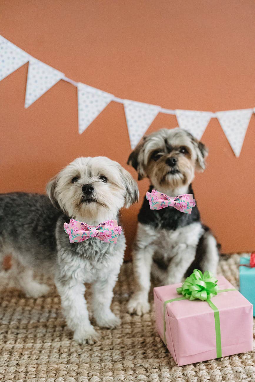 Floral Rose Print Adjustable Dog Collar with Bowtie - Soft Pet Collar for Small, Medium & Large Dogs - Perfect for Daily Walks, Special Occasions & Fashionable Pet Accessories