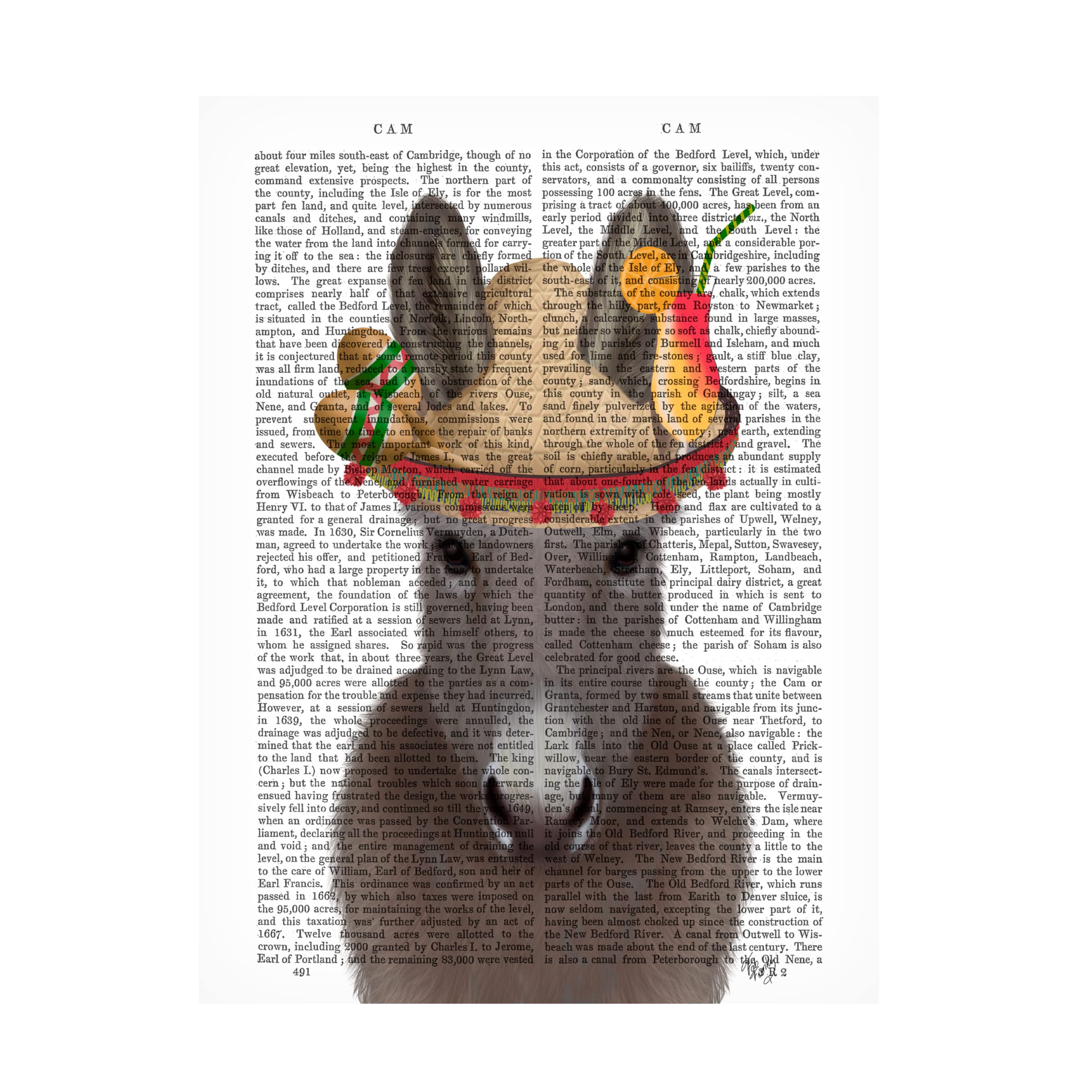 Trademark Fine Art 'Donkey Sombrero Book Print' Canvas Wall Art by Fab Funky - Perfect for Home Decor, Office & Gift Giving