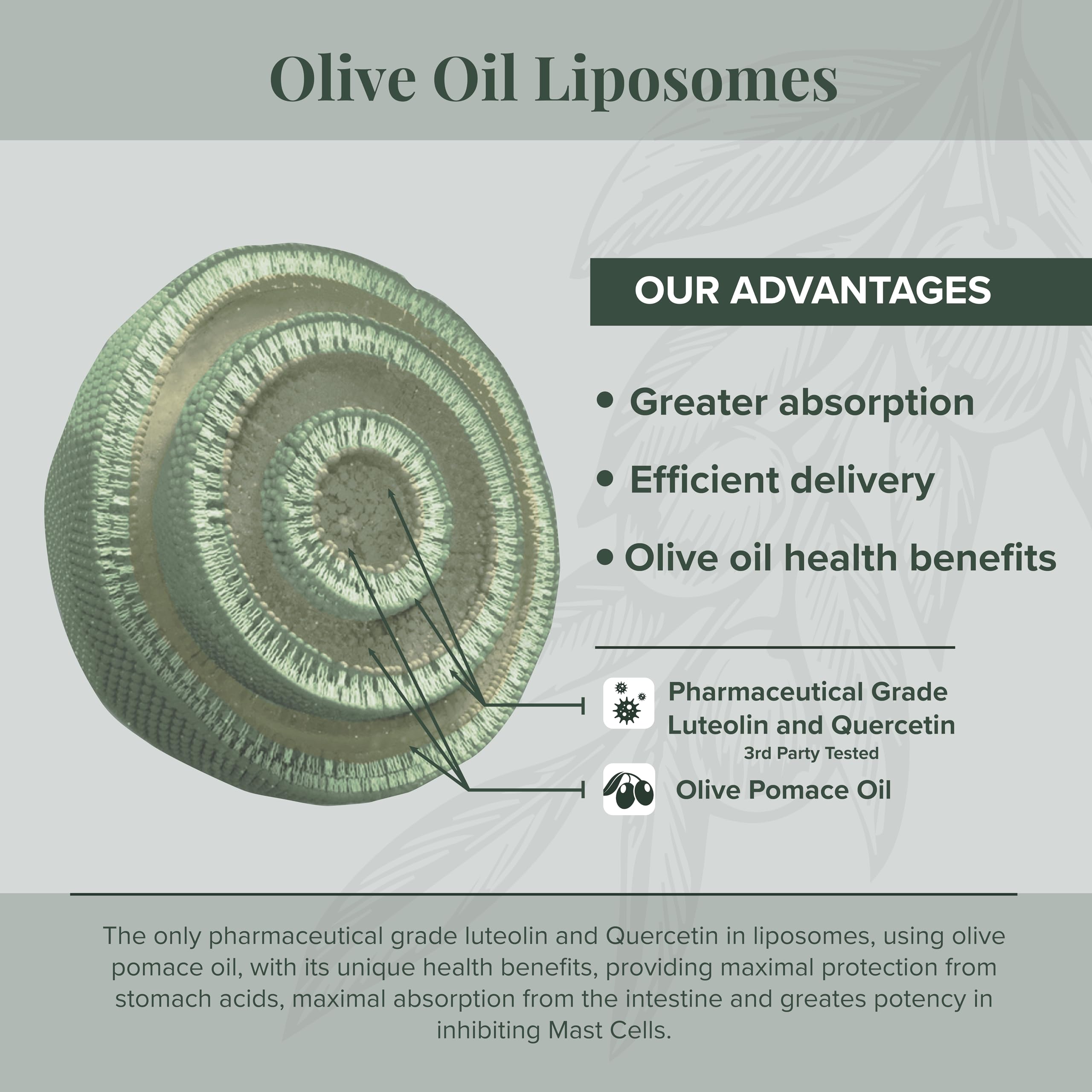 NeuroProtek® 2-Pack Liposomal Luteolin Supplement with Olive Pomace Oil – Patented Natural Softgels for Mind & Body Balance | Supports Immune Health, Brain Function & Stress Relief