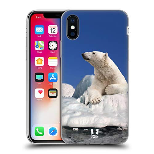 Polar Bear On Ice