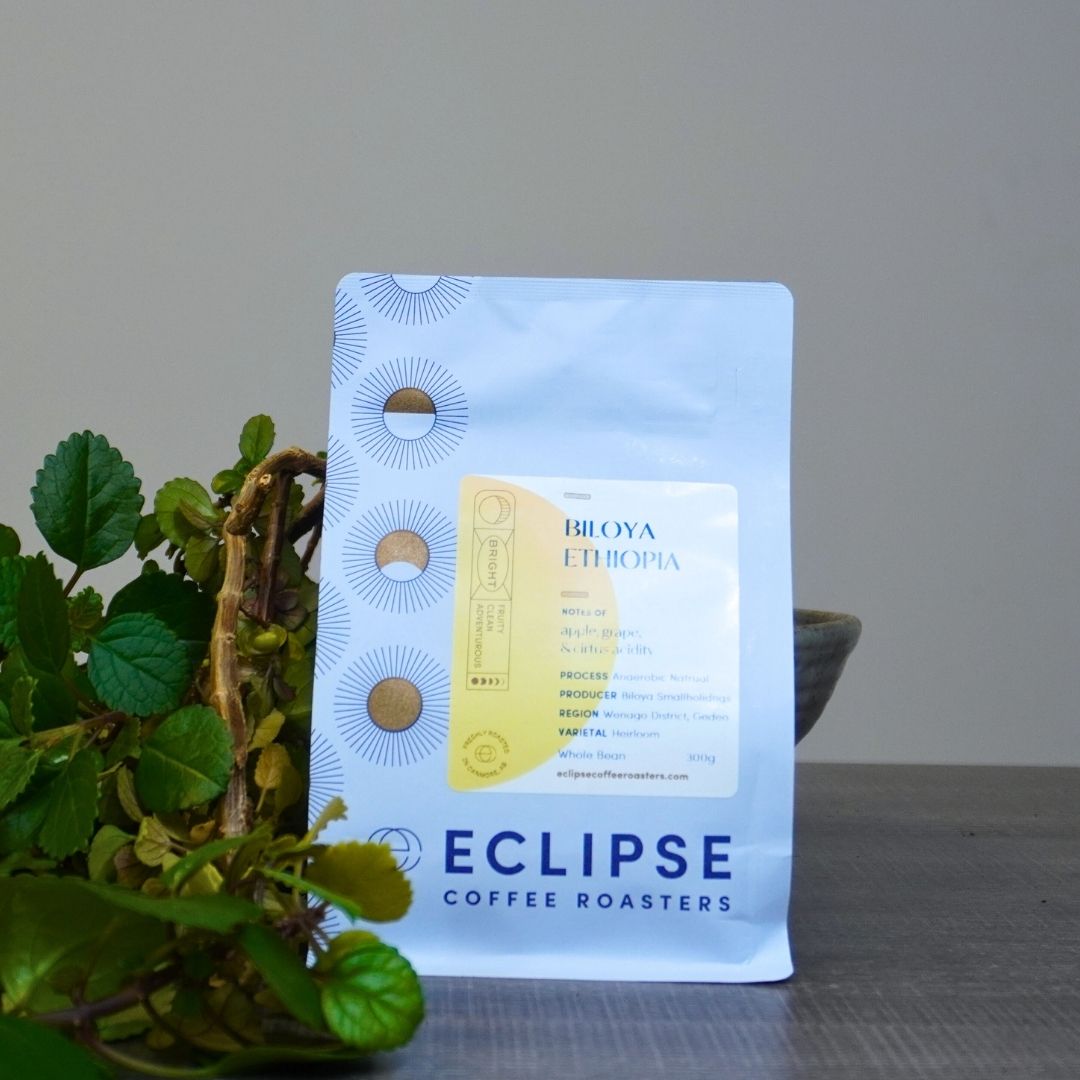 Premium Biloya Ethiopia Single Origin Coffee Beans by Eclipse Coffee Roasters - Rich Flavor for Home Brewing & Specialty Coffee Shops