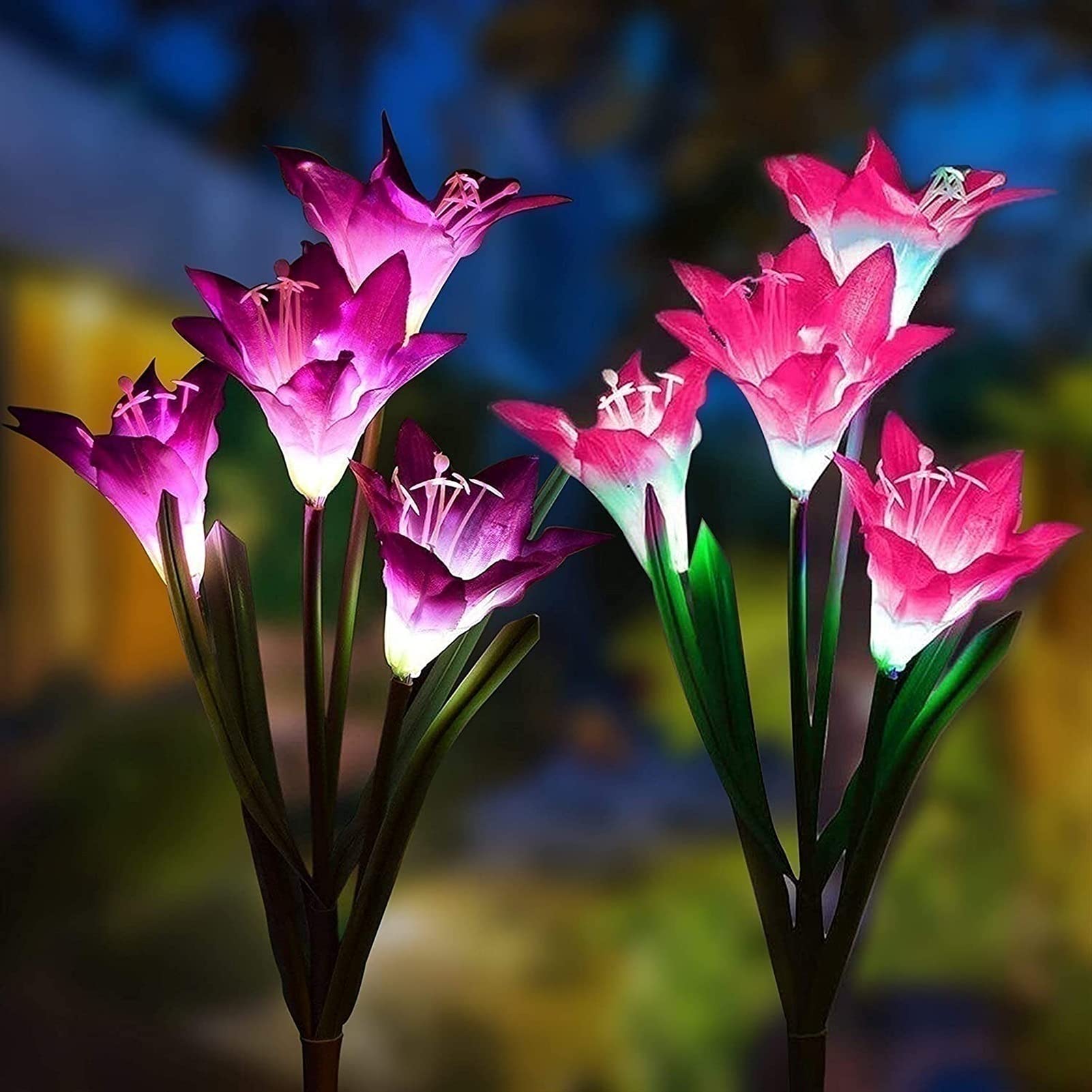Solar Powered Flower Lights Outdoor Waterproof - 2 Pack LED Solar Lily Lights with Multi-Color Changing, Decorative Garden Pathway Yard Walkway Porch Lighting for Home Decor (Pink+Purple) | Perfect for Romantic Nights, Wedding Decor & Landscape Lighting