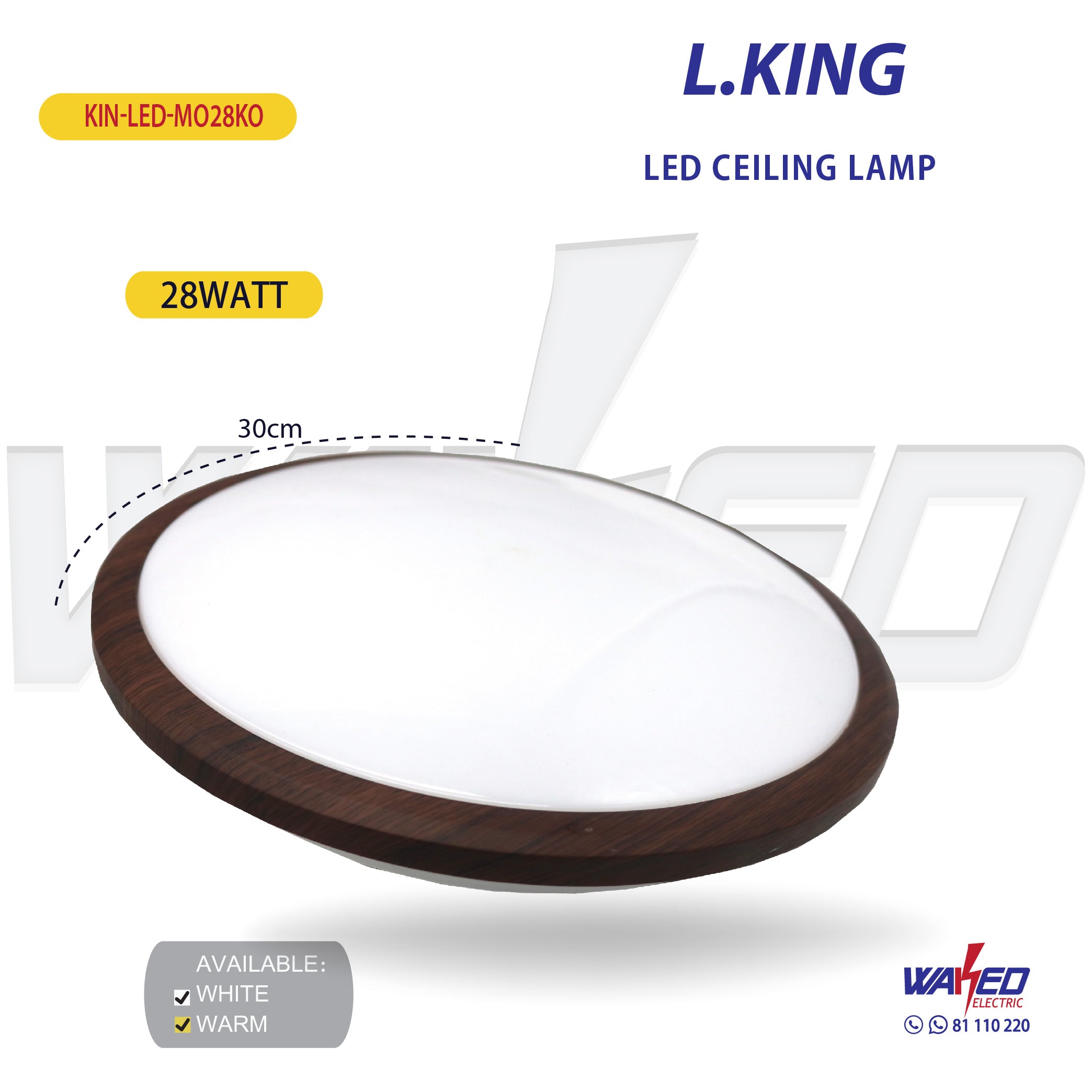 Energy Efficient LED Ceiling and Wall Light Fixture - Modern Indoor Lighting for Home, Office, and Commercial Spaces