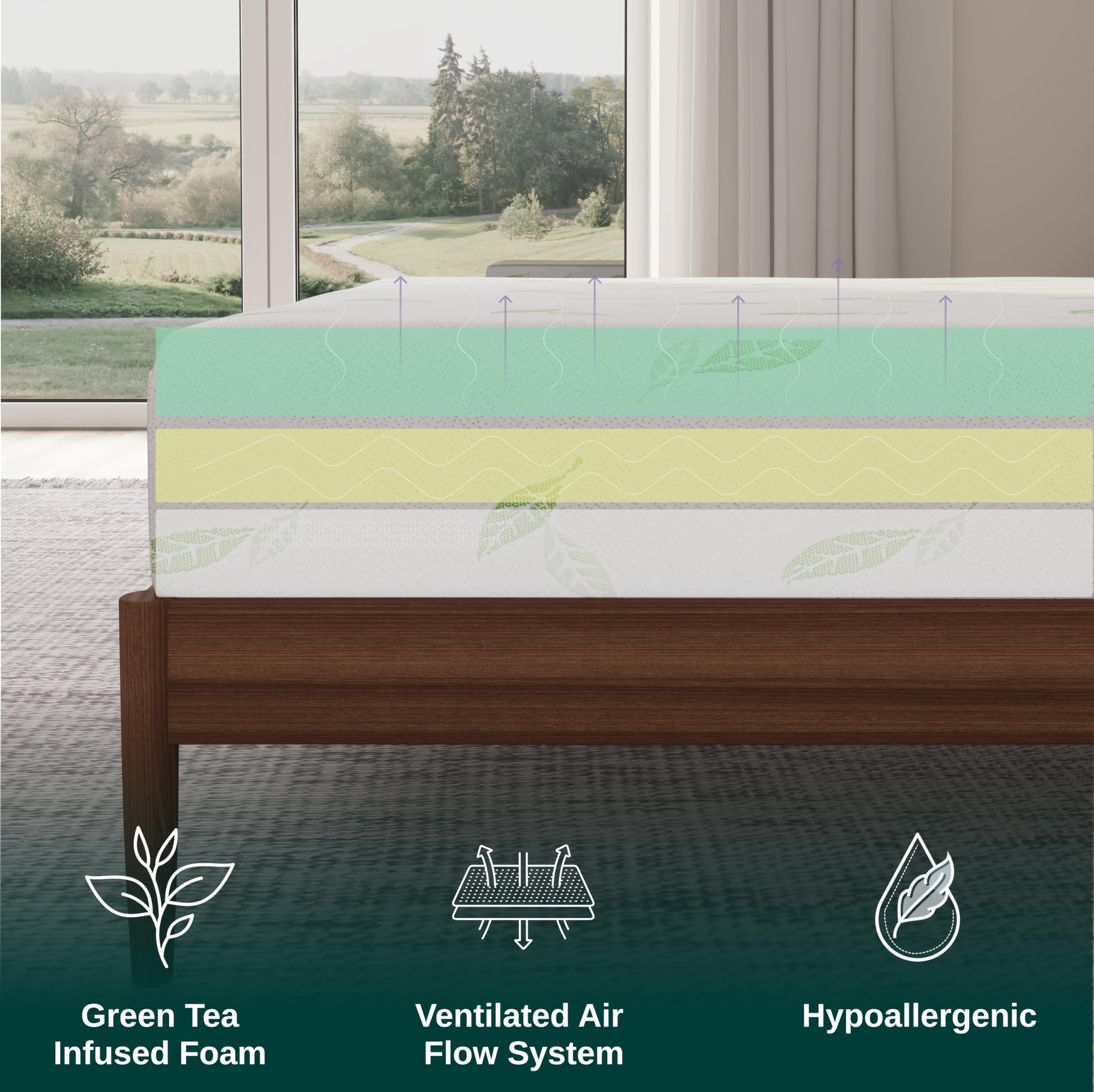 NapQueen Twin XL 6-Inch Green Tea Infused Memory Foam Mattress - CertiPUR-US Certified, Bed in a Box for Dorm Rooms & Guest Beds | Cooling Pressure Relief for Side Sleepers