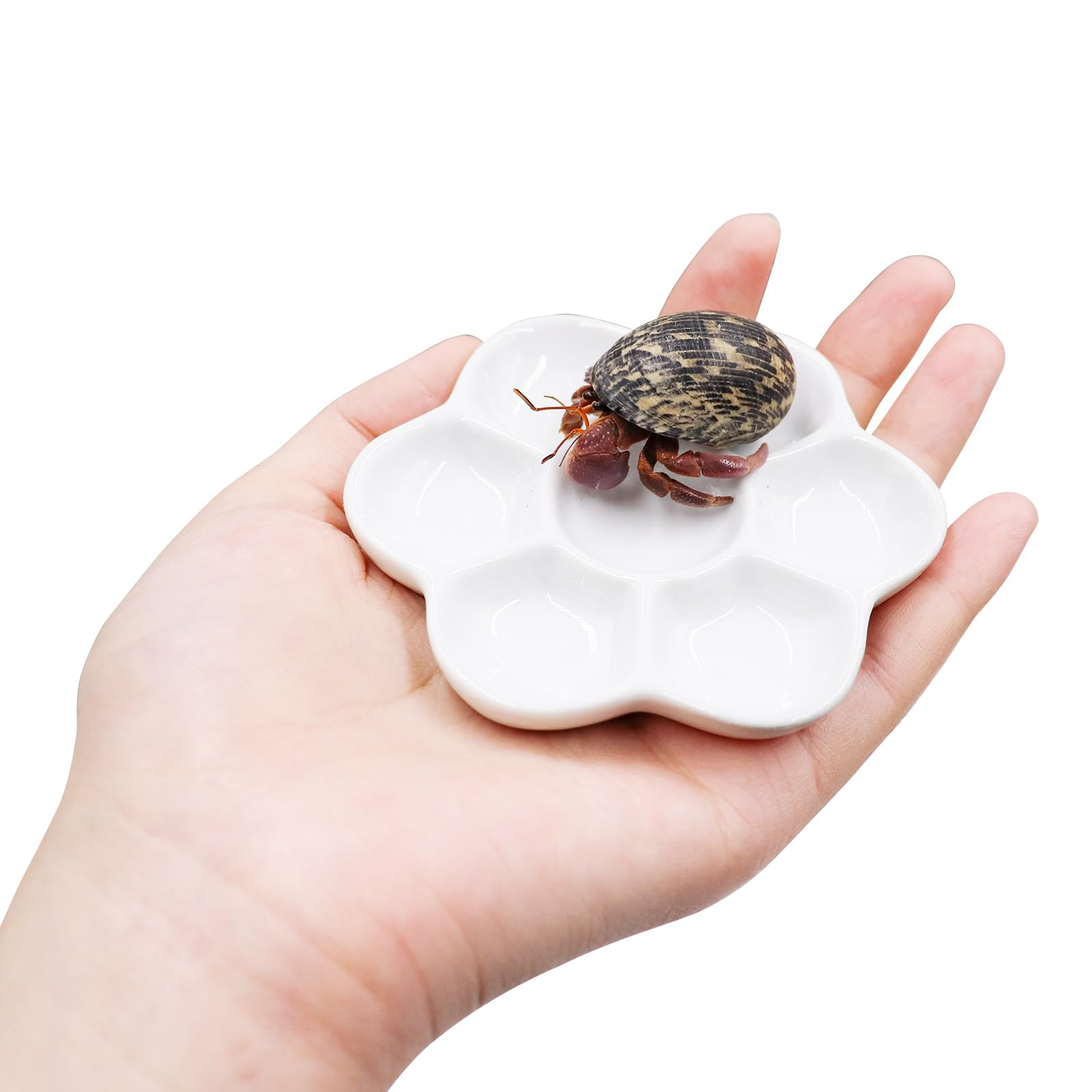 3 Pcs Hermit Crab Ceramic Food & Water Bowls - Mini Feeding Dish Kit for Hermit Crabs, Tarantulas, Snails - Durable Pet Reptile Supplies for Terrarium Habitat
