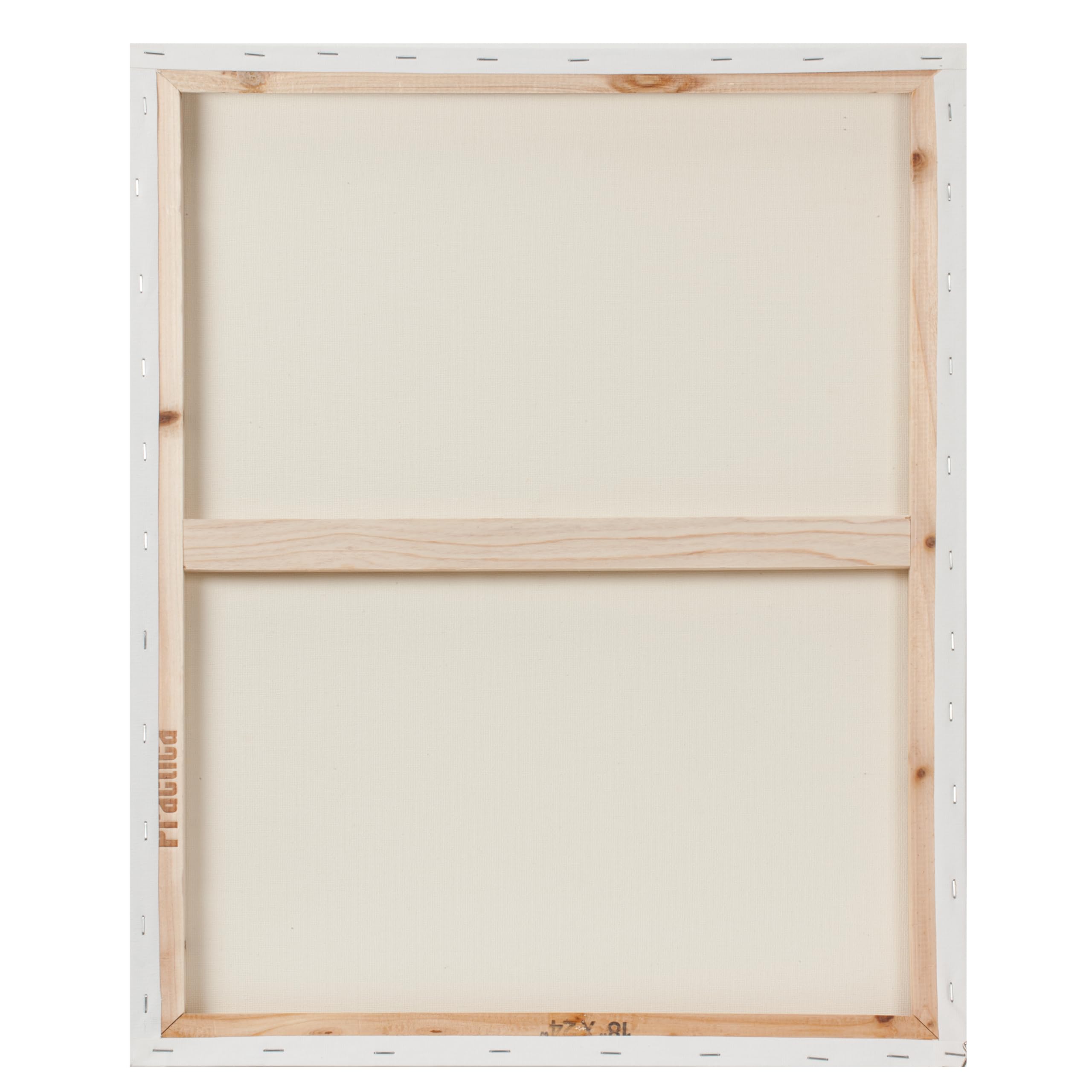4-Piece Canvas Frame & Stretched Canvas Bundle - 2 Black Frames & 2 Blank Canvases (16x20 Inches) - Perfect for DIY Art, Home Decor & Wall Display