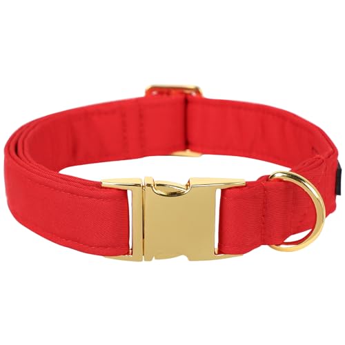 C-Positive red