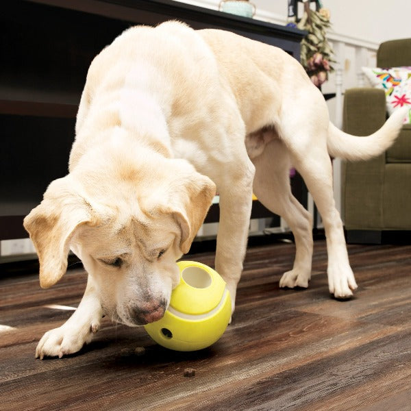 KONG Classic Dog Toy - Treat Dispensing Chew Toy for Small & Large Dogs - Tennis Ball Design for Play & Training - Perfect for Fetch, Chewing & Mental Stimulation