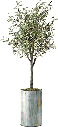 Modern Planter - 24013103