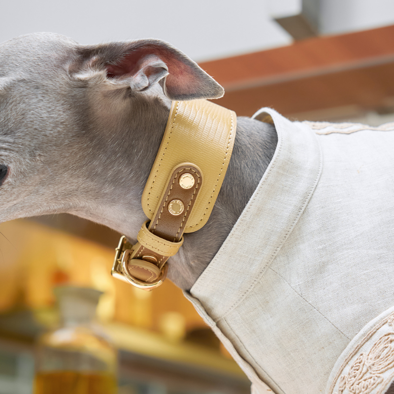 Premium Genuine Leather Dog Collar for Small Medium Large Breeds - Adjustable & Stylish Pet Accessory for Walking, Training, and Everyday Use